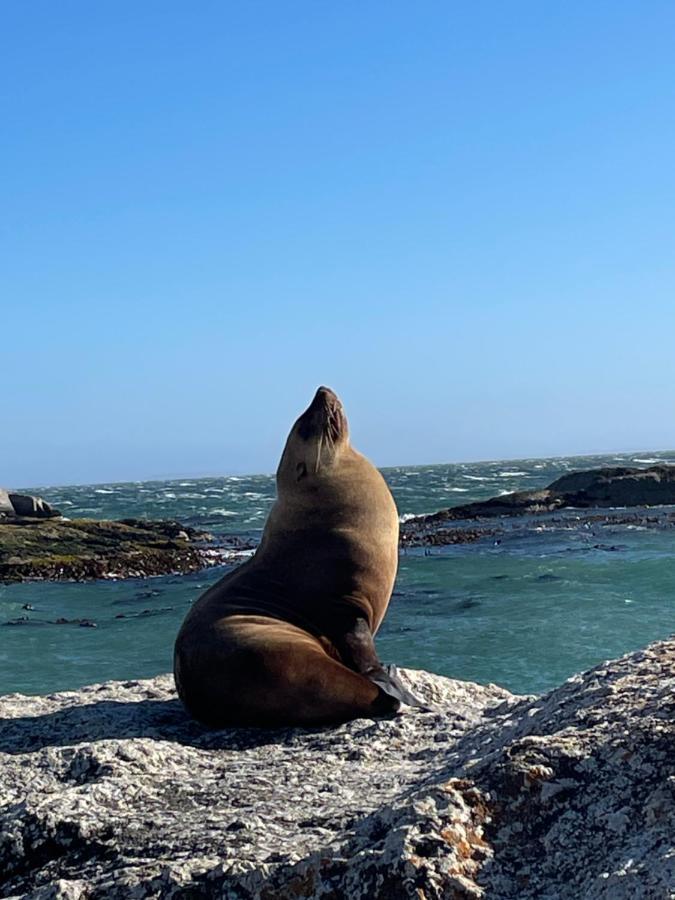 Whale Rock Apartment Cape Town Ngoại thất bức ảnh